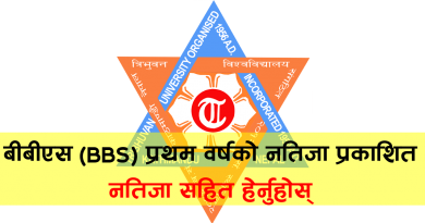 bbs first year result 2076
