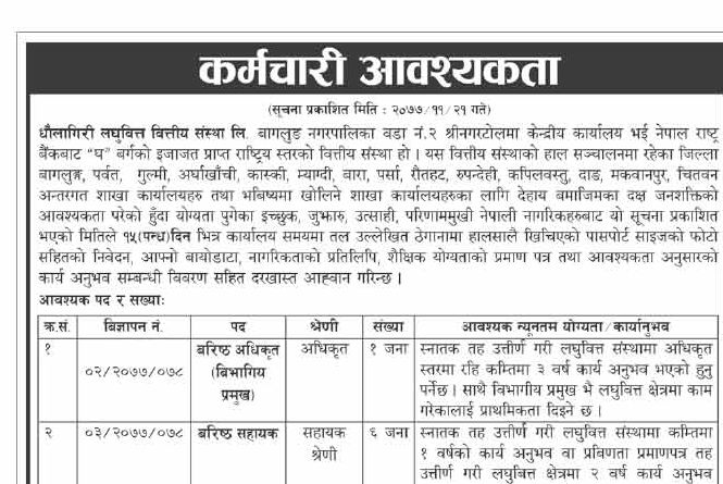 Dhaulagiri Laghubitta Bittiya Sanstha Limited Vacancy