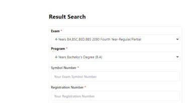 BA Fourth year result