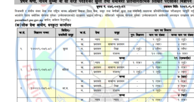 Nayab Subba Vacancy 2081 : NASU Jobs 2081/82