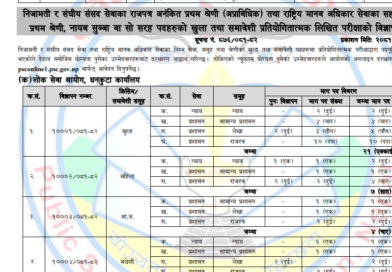 Nayab Subba Vacancy 2081 : NASU Jobs 2081/82