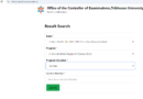 BSC 3rd Year Result 2081: Check Online at result.tuexam.edu.np